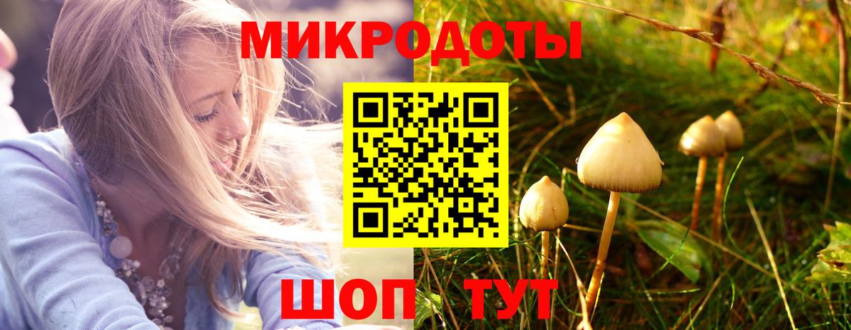 Галлюциногенные грибы MAGIC MUSHROOMS Похвистнево