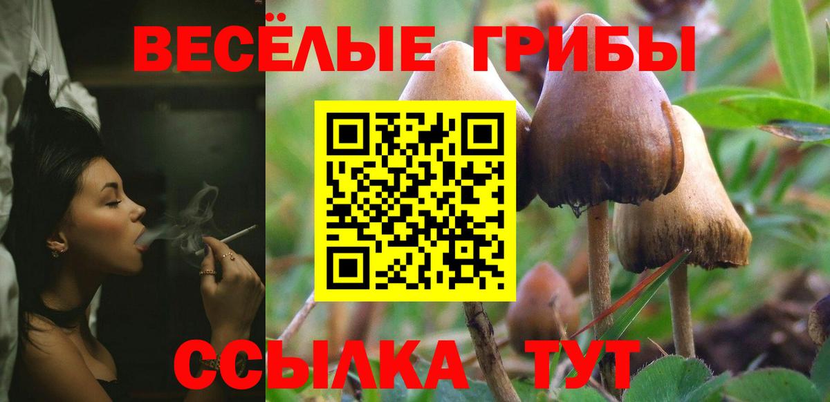 Похвистнево  Псилоцибиновые грибы Psilocybe  Вход с VPN 